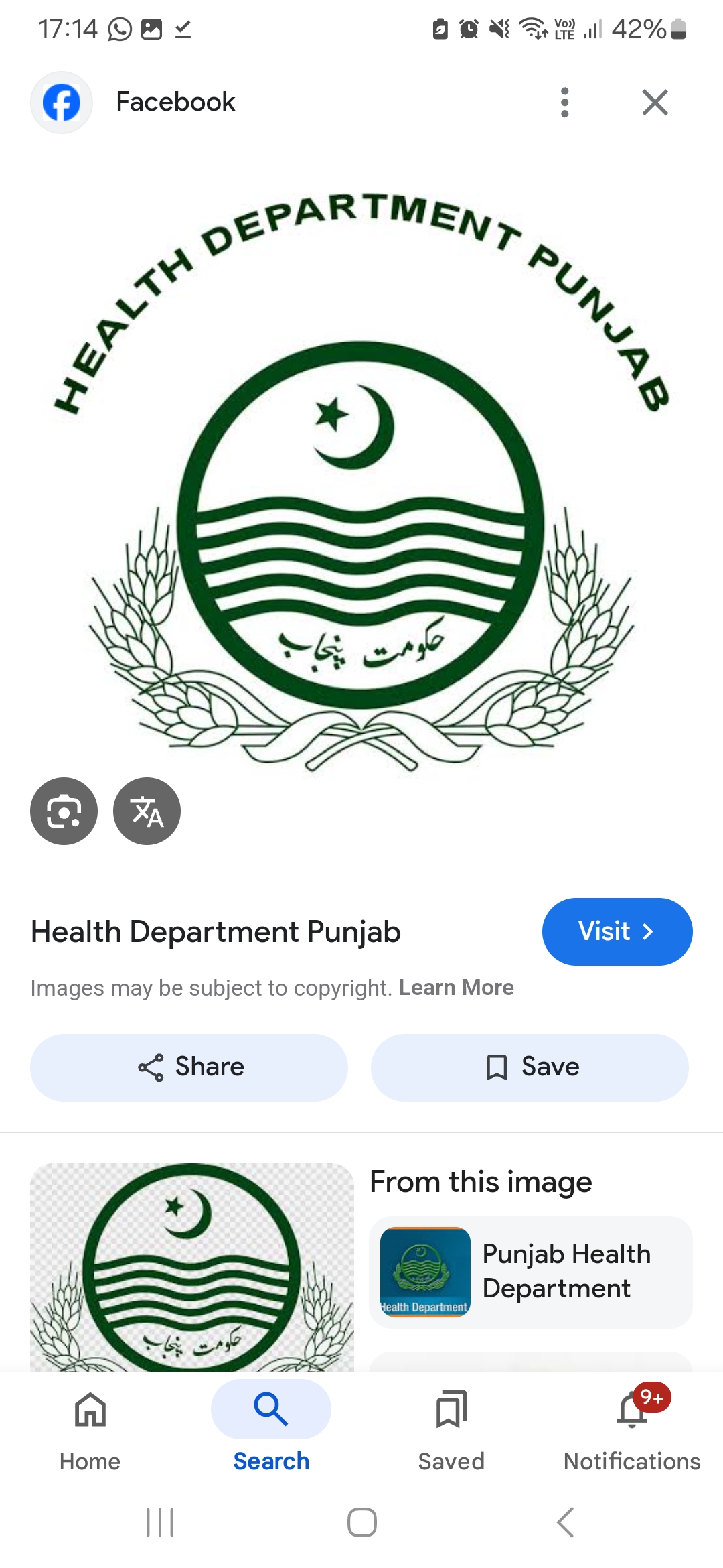 Voting Line